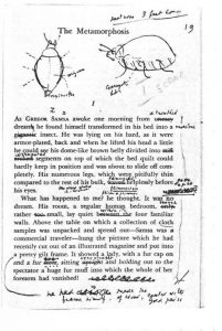 nabokov_on_kafka2