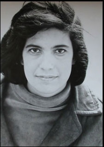 sontag