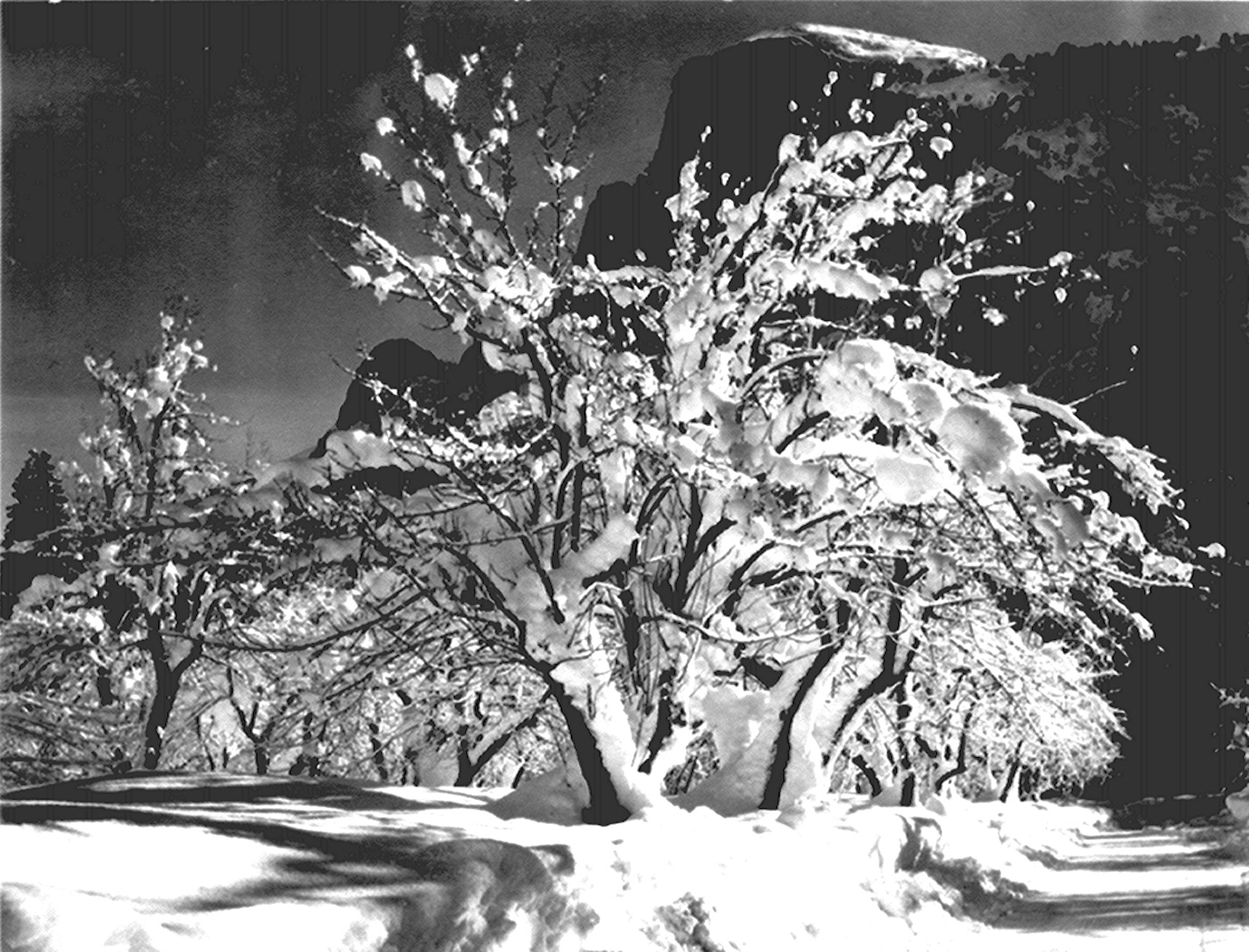 ANSEL ADAMS FINE ART PRINT Half Dome Trees Yosemite landscape photo picture Snow