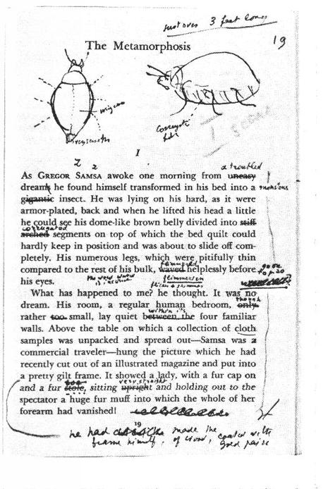 Franz Kafkas Erzählung “Die Verwandlung”, redigiert von Vladimir Nabokov